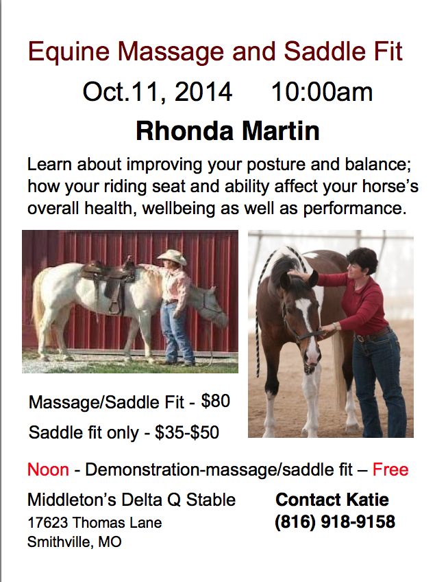 Equine Massage and Saddle Fit